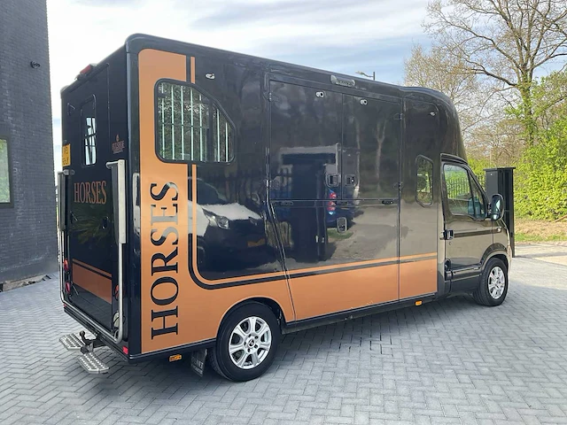 2009 renault / theault master paardenvrachtwagen met opbouw - afbeelding 20 van  26