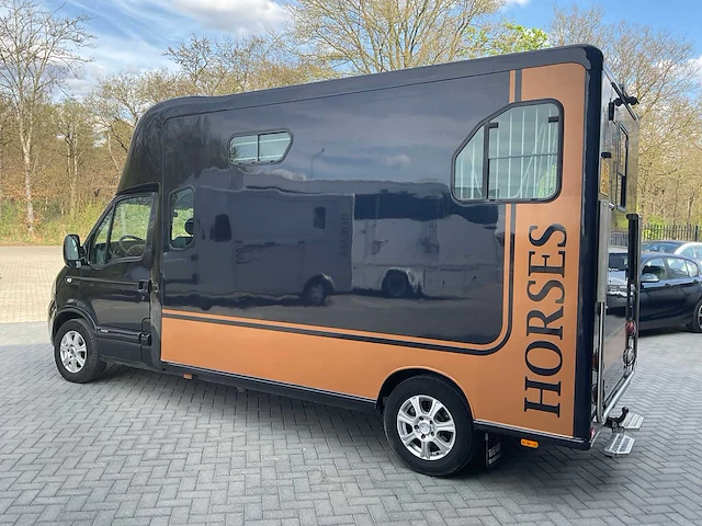 2009 renault / theault master paardenvrachtwagen met opbouw - afbeelding 21 van  26