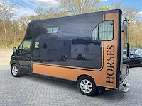 2009 renault / theault master paardenvrachtwagen met opbouw - afbeelding 21 van  26