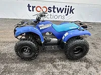 2010 yamaha grizzly quad - afbeelding 12 van  25