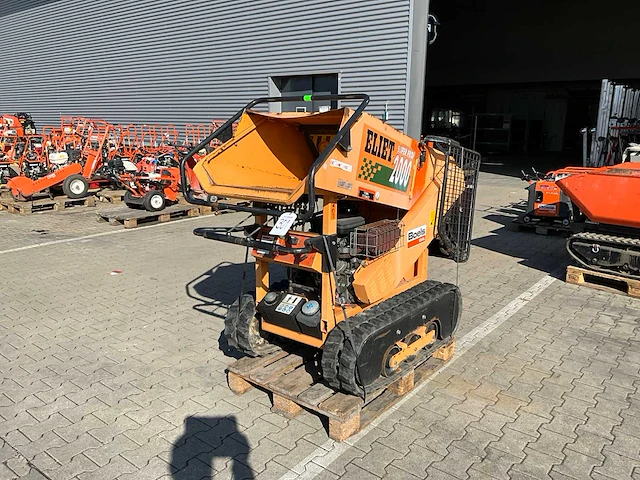 2011 eliet superprof 2000 rupshouthakselaar - afbeelding 13 van  15
