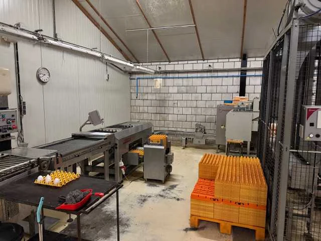 2013 prinzen speedpack 110 eier verpakkingsmachine met pallettloader - afbeelding 3 van  29