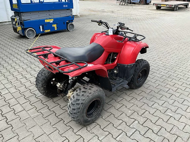 2013 yamaha grizzly 300 quad - afbeelding 6 van  12