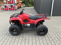 2013 yamaha grizzly 300 quad - afbeelding 8 van  12