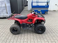 2013 yamaha grizzly 300 quad - afbeelding 9 van  12