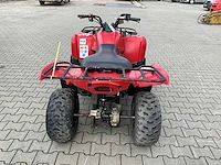 2013 yamaha grizzly 300 quad - afbeelding 11 van  12