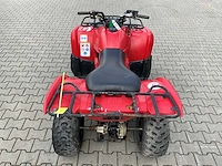 2013 yamaha grizzly 300 quad - afbeelding 12 van  12