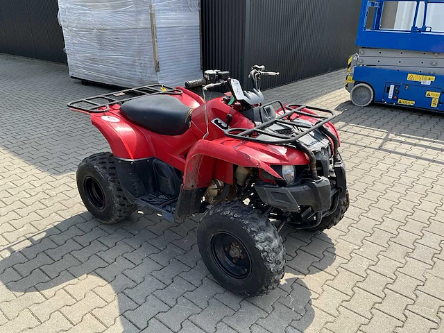 2013 yamaha grizzly 300 quad - afbeelding 4 van  11