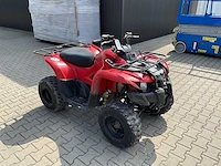 2013 yamaha grizzly 300 quad - afbeelding 4 van  11