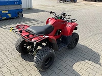 2013 yamaha grizzly 300 quad - afbeelding 5 van  11