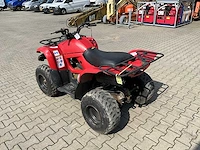 2013 yamaha grizzly 300 quad - afbeelding 6 van  11