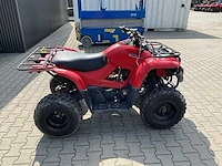 2013 yamaha grizzly 300 quad - afbeelding 8 van  11