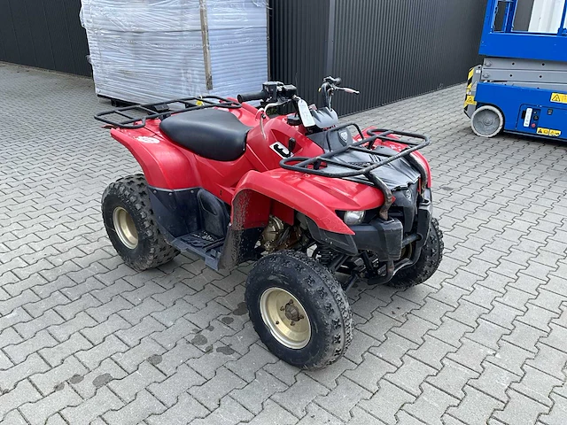 2013 yamaha grizzly 300 quad - afbeelding 6 van  13