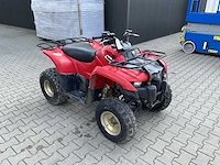 2013 yamaha grizzly 300 quad - afbeelding 6 van  13