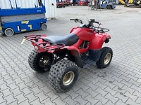 2013 yamaha grizzly 300 quad - afbeelding 7 van  13