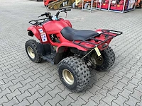 2013 yamaha grizzly 300 quad - afbeelding 8 van  13