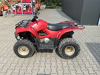 2013 yamaha grizzly 300 quad - afbeelding 9 van  13