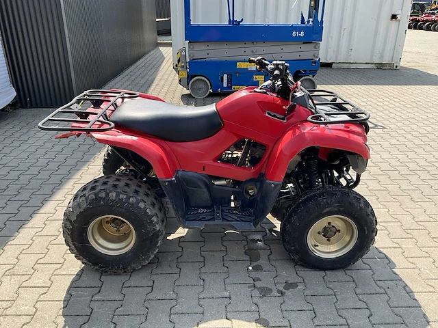 2013 yamaha grizzly 300 quad - afbeelding 10 van  13