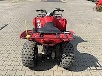 2013 yamaha grizzly 300 quad - afbeelding 12 van  13