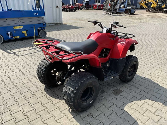 2013 yamaha grizzly 300 quad - afbeelding 6 van  11