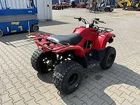 2013 yamaha grizzly 300 quad - afbeelding 6 van  11