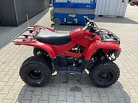 2013 yamaha grizzly 300 quad - afbeelding 7 van  11