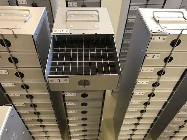 2016 bio medical mve815p-190 vloeibare stikstof opslag systeem - afbeelding 8 van  22