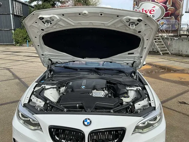 2016 bmw 2-serie cabrio 220i personenauto - afbeelding 21 van  33