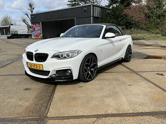 2016 bmw 2-serie cabrio 220i personenauto - afbeelding 12 van  33