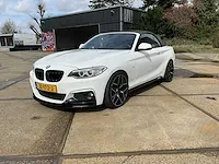 2016 bmw 2-serie cabrio 220i personenauto - afbeelding 12 van  33