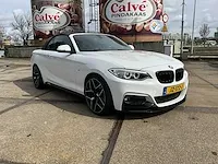 2016 bmw 2-serie cabrio 220i personenauto - afbeelding 28 van  33