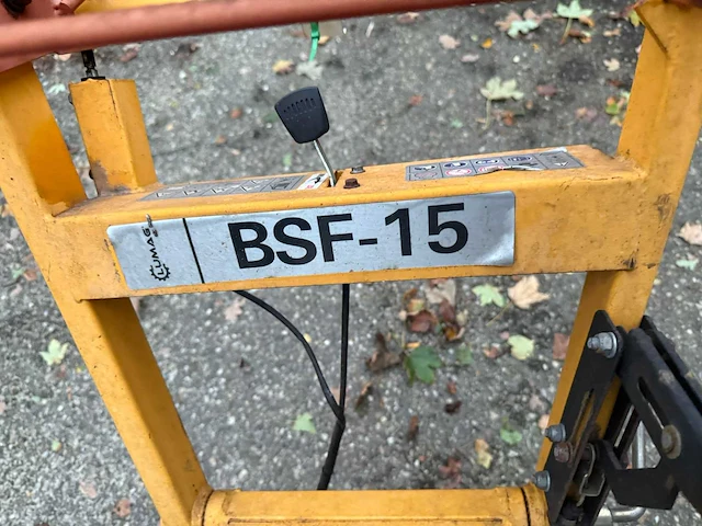 2016 lumag bsf-15 stobbenfrees - afbeelding 8 van  9