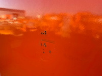 2017 henra de boer tijdelijk bouw dbm schaft aanhangwagen - afbeelding 25 van  25