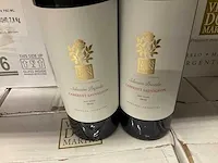 2019 - cabernet sauvignon 2019 (294x)