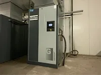 2019 atlas copco ga55vds schroefcompressor