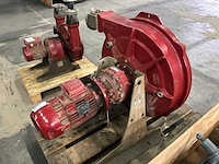 2019 bredel 50 / ed2020 slangenpomp - afbeelding 3 van  7