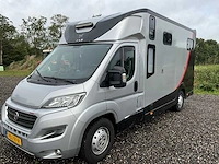 2019 fiat carroceria ameline ducato 35h 2.3 multijet paardenwagen 2 paards - afbeelding 2 van  60