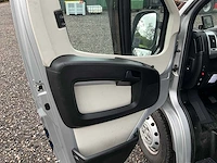 2019 fiat carroceria ameline ducato 35h 2.3 multijet paardenwagen 2 paards - afbeelding 6 van  60