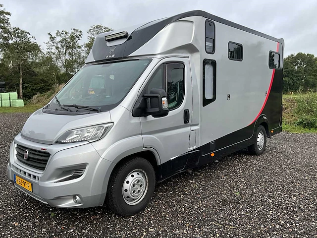 2019 fiat carroceria ameline ducato 35h 2.3 multijet paardenwagen 2 paards - afbeelding 1 van  60