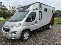 2019 fiat carroceria ameline ducato 35h 2.3 multijet paardenwagen 2 paards - afbeelding 12 van  60