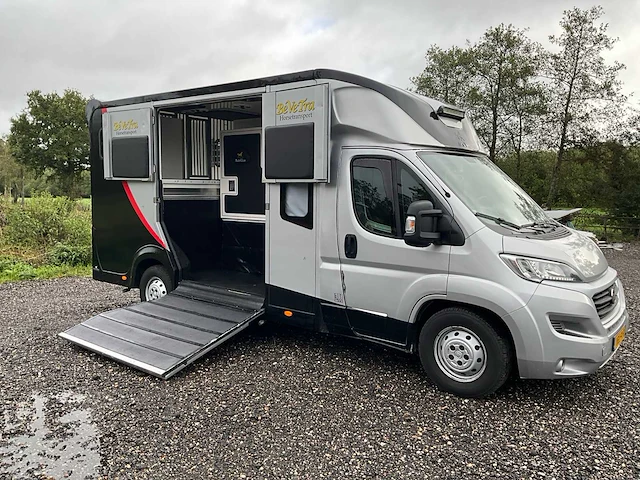 2019 fiat carroceria ameline ducato 35h 2.3 multijet paardenwagen 2 paards - afbeelding 30 van  60