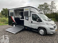 2019 fiat carroceria ameline ducato 35h 2.3 multijet paardenwagen 2 paards - afbeelding 30 van  60