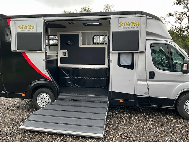 2019 fiat carroceria ameline ducato 35h 2.3 multijet paardenwagen 2 paards - afbeelding 31 van  60