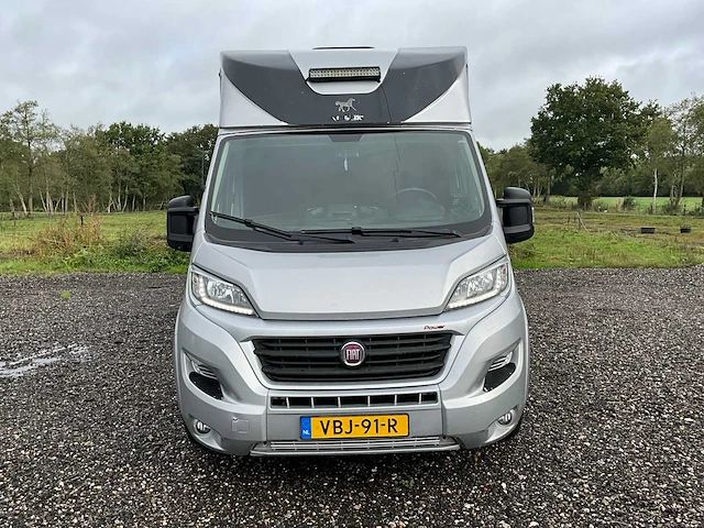2019 fiat carroceria ameline ducato 35h 2.3 multijet paardenwagen 2 paards - afbeelding 23 van  60