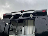 2019 fiat carroceria ameline ducato 35h 2.3 multijet paardenwagen 2 paards - afbeelding 41 van  60