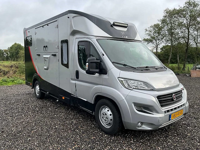 2019 fiat carroceria ameline ducato 35h 2.3 multijet paardenwagen 2 paards - afbeelding 34 van  60