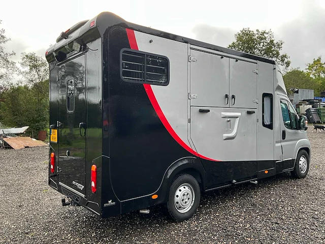 2019 fiat carroceria ameline ducato 35h 2.3 multijet paardenwagen 2 paards - afbeelding 56 van  60