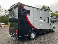 2019 fiat carroceria ameline ducato 35h 2.3 multijet paardenwagen 2 paards - afbeelding 56 van  60