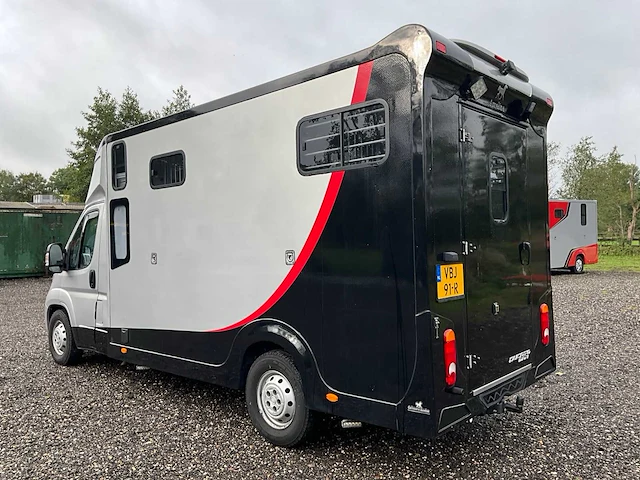 2019 fiat carroceria ameline ducato 35h 2.3 multijet paardenwagen 2 paards - afbeelding 59 van  60