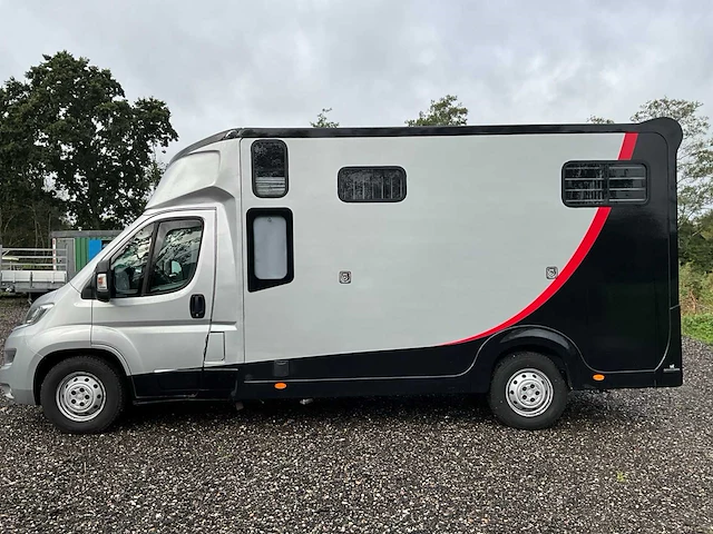 2019 fiat carroceria ameline ducato 35h 2.3 multijet paardenwagen 2 paards - afbeelding 60 van  60